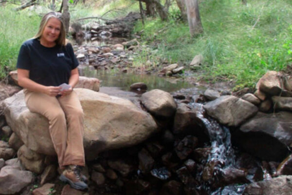In 1982, an Arizona couple began building what became about 20,000 small rock dams across their desert ranch; one study found stream water increased 28% and flowed four weeks longer | World News
