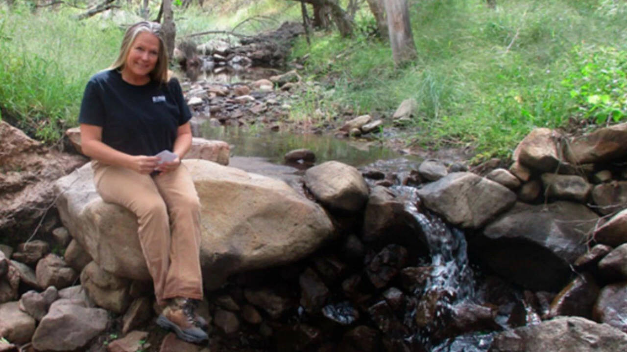 In 1982, an Arizona couple began building what became about 20,000 small rock dams across their desert ranch; one study found stream water increased 28% and flowed four weeks longer | World News