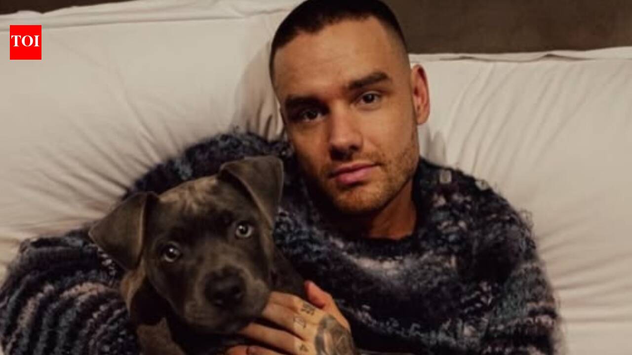 Liam Payne’s final hours revealed in new police documents and photos as fresh details from investigation into singer’s death at at Buenos Aires hotel continues |