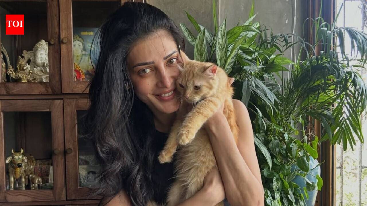Shruti Haasan opens up about rehoming Persian cat Aslan after severe allergy, says, 'It was heartbreaking' |
