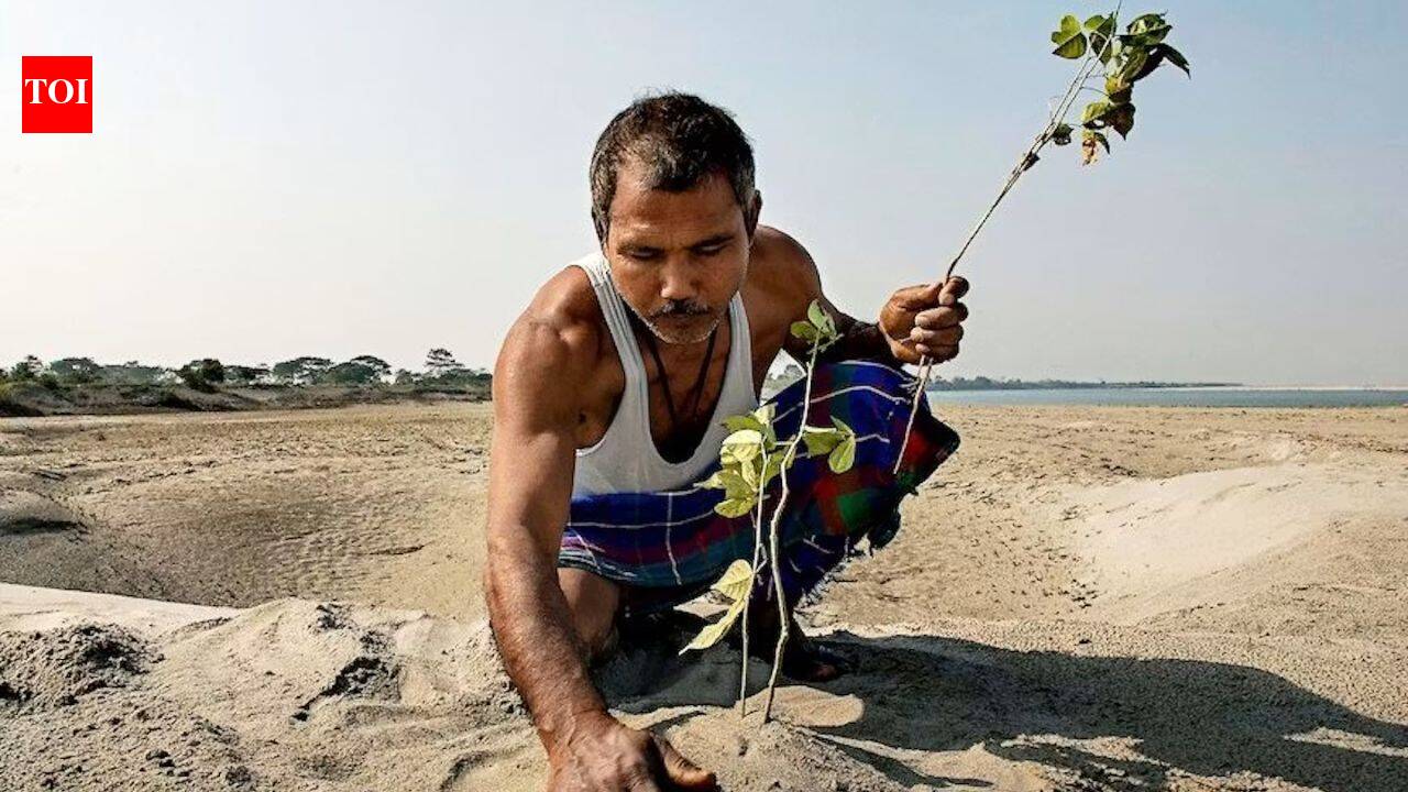 How one man turned a barren Brahmaputra sandbar into a thriving forest
