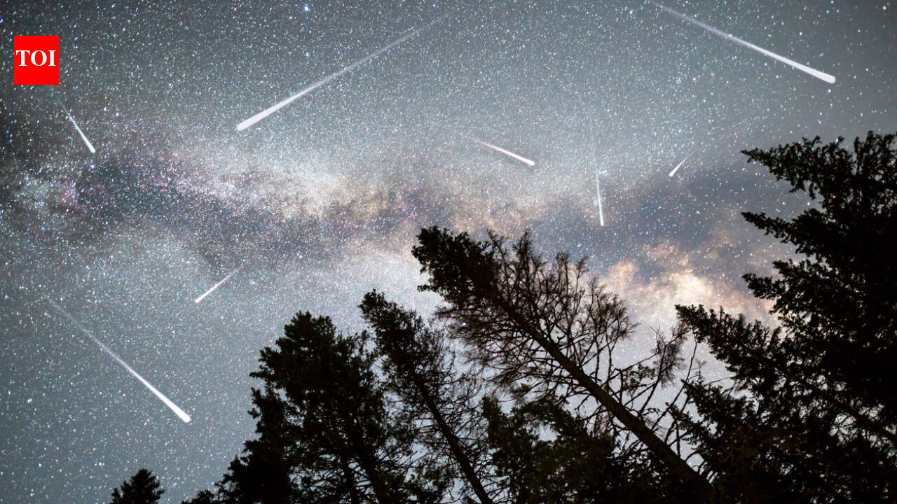 Perseid Meteor Shower 2026: When and where to see the magical display |