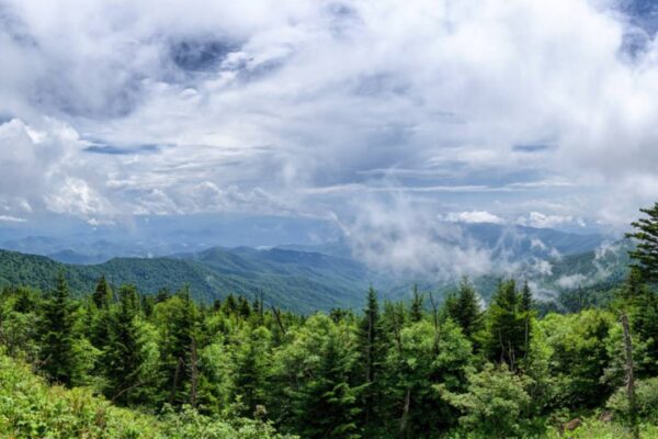 In 1929, a Tennessee farmer refused $20 an acre for 375 acres wanted for Great Smoky Mountains National Park; after years in court, he received $17,000 and lost the farm