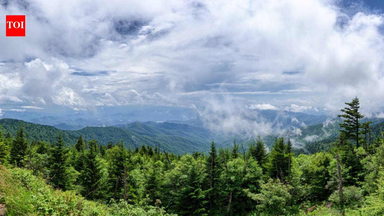 In 1929, a Tennessee farmer refused $20 an acre for 375 acres wanted for Great Smoky Mountains National Park; after years in court, he received $17,000 and lost the farm