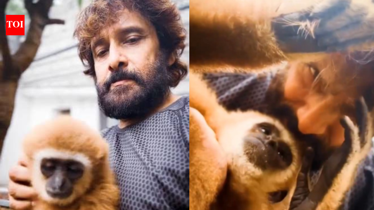Actor's connection explained as Forest Department investigation traces monkey to Erode resident