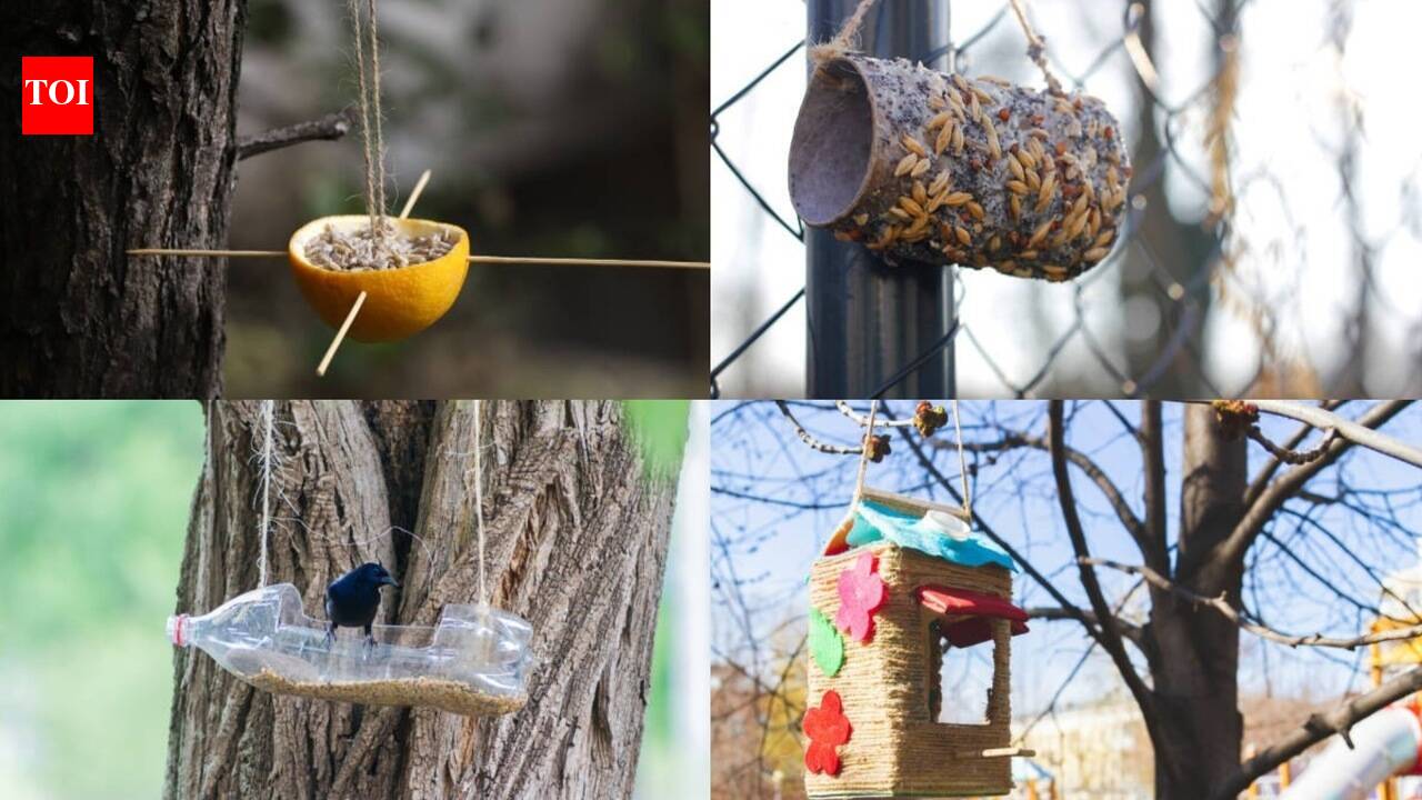 5 creative bird feeders you can make from things you already have at home