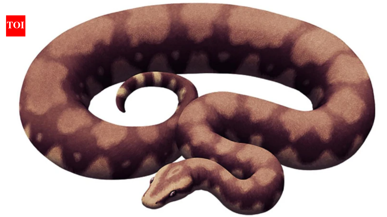 The largest snake to roam the Earth, earlier mistaken for a massive crocodile; IIT Roorkee researchers name it after the 'Vasuki Naag'