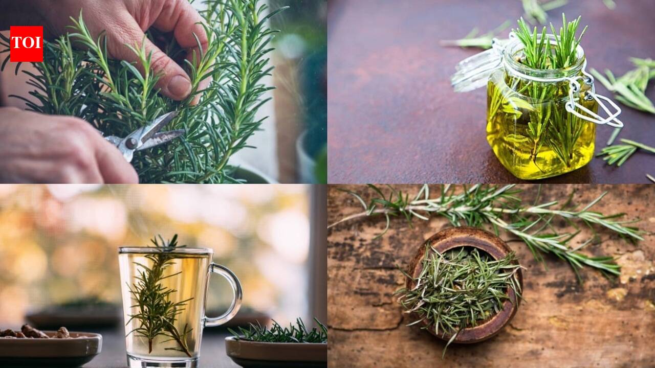 Exploring memory, focus and brain health benefits of this kitchen herb