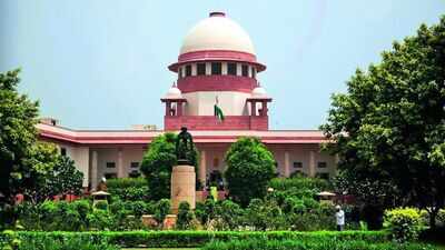 Speedy trial a right of victim too, says Supreme Court | India News