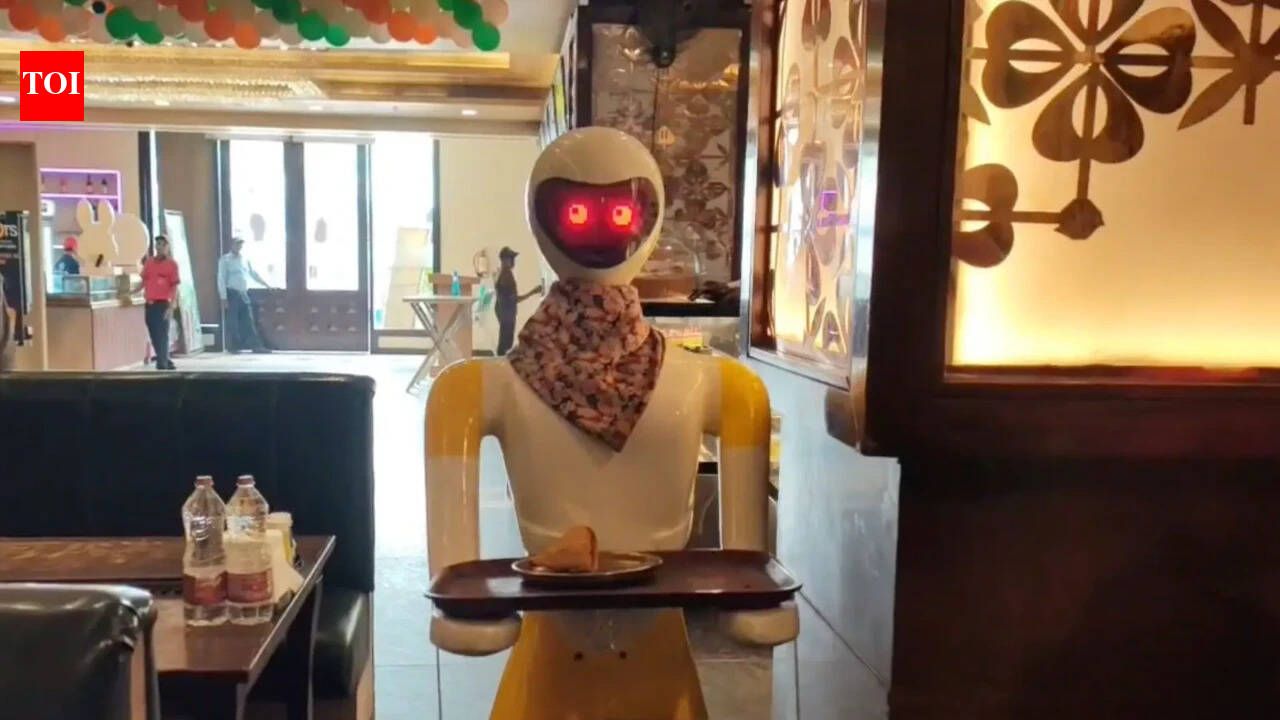 Parathas served by a robot? Murthal dhaba’s new waiter has the internet talking