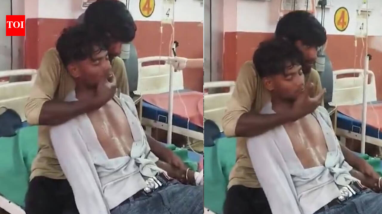Snake bite horror in Hardoi: UP man bitten by venomous snake, brother slaps him 150 times to keep him alive