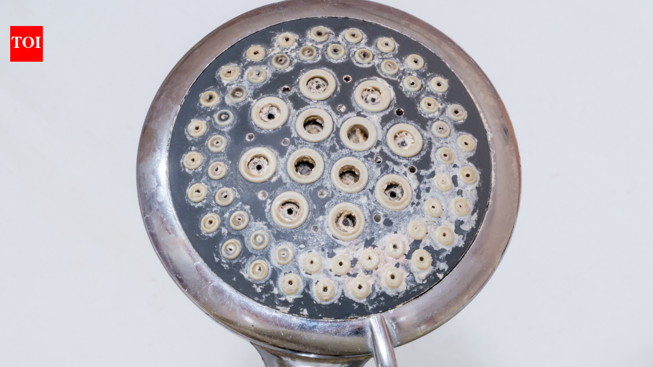 Clean Blocked Showerheads: Forget vinegar and baking soda! A simple and practical trick to clean blocked showerheads in the bathroom