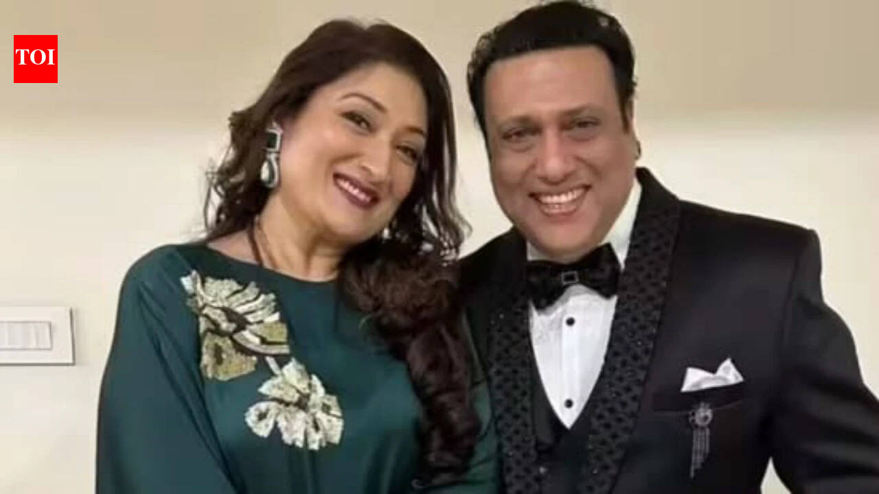 When and why did Sunita Ahuja seek divorce from Govinda? Timeline of petition, cheating allegations, latest development EXPLAINED | Hindi Movie News