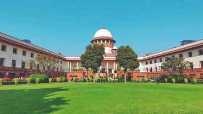 'Can Standard 6 be spared 3-language plan this year?' asks SC | India News
