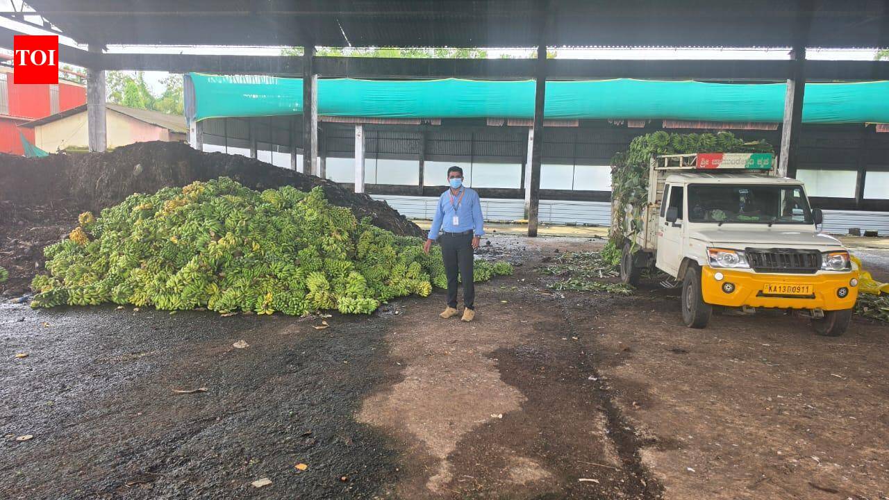 Artificially Ripened Bananas: 10,890 kg of chemically ripened bananas seized in Karnataka: 4 signs your banana may have been artificially ripened