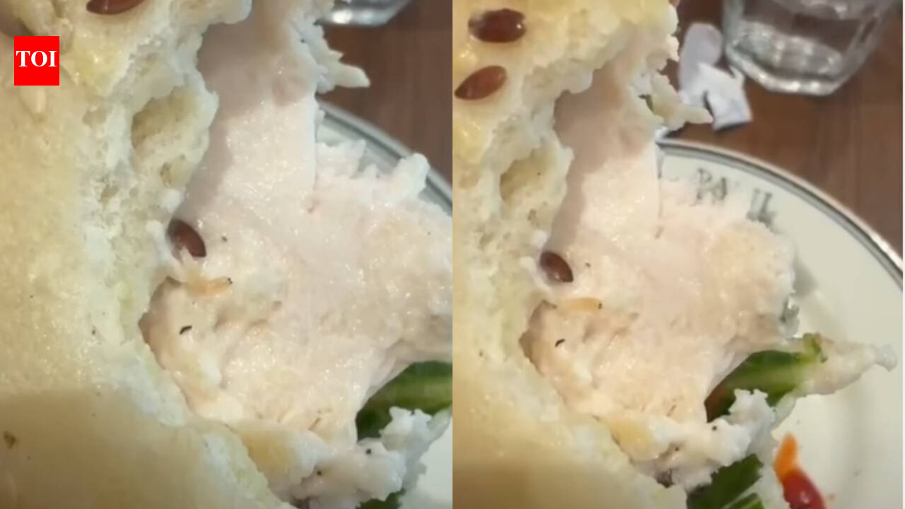 ‘Is that a worm?’ Diner finds live worm in sandwich at very popular Gurugram restaurant; video goes viral