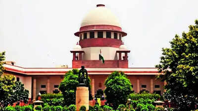 Change in revenue record doesn't create, end property title: SC | India News
