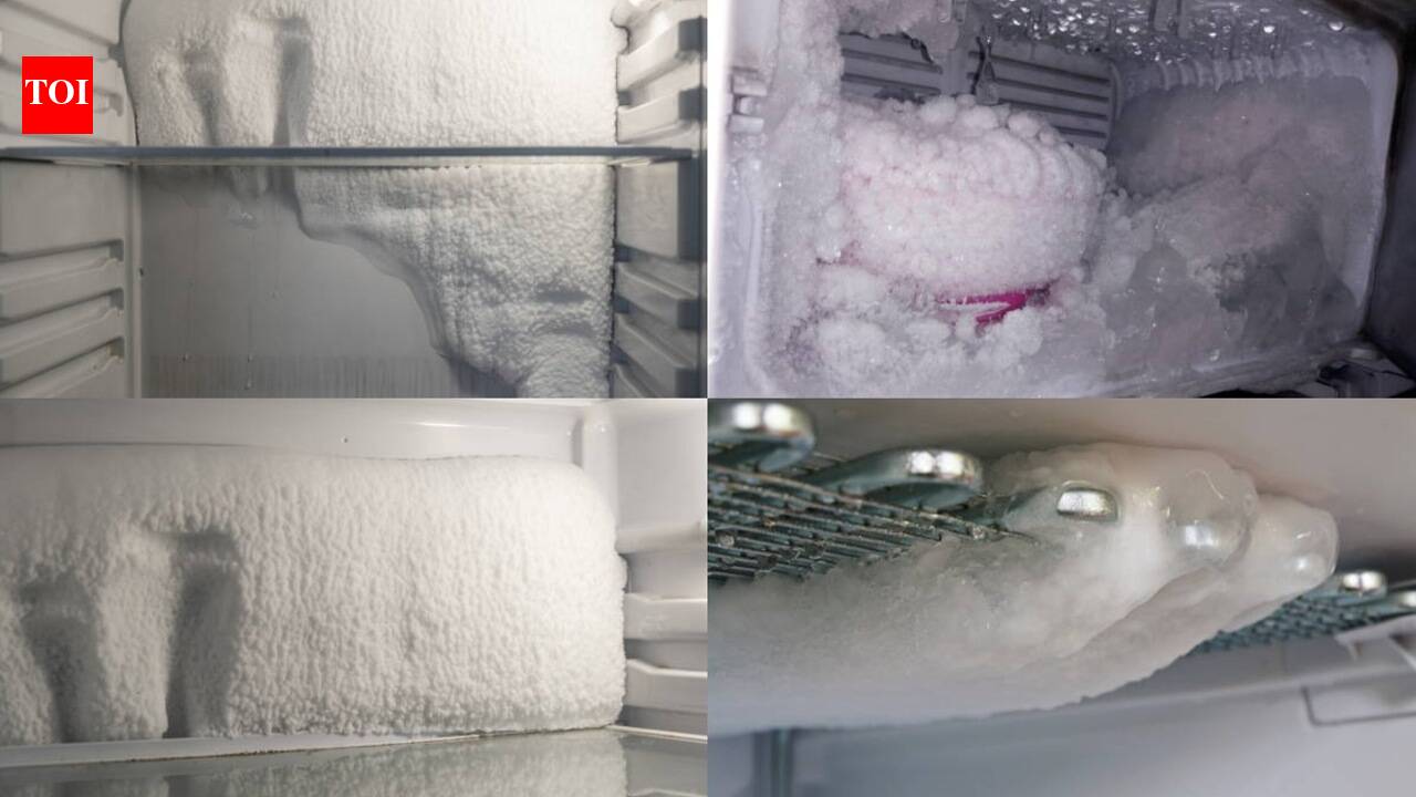 Fridge Moisture Problems: Fridge moisture problems? Simple tips to prevent condensation and keep food fresh