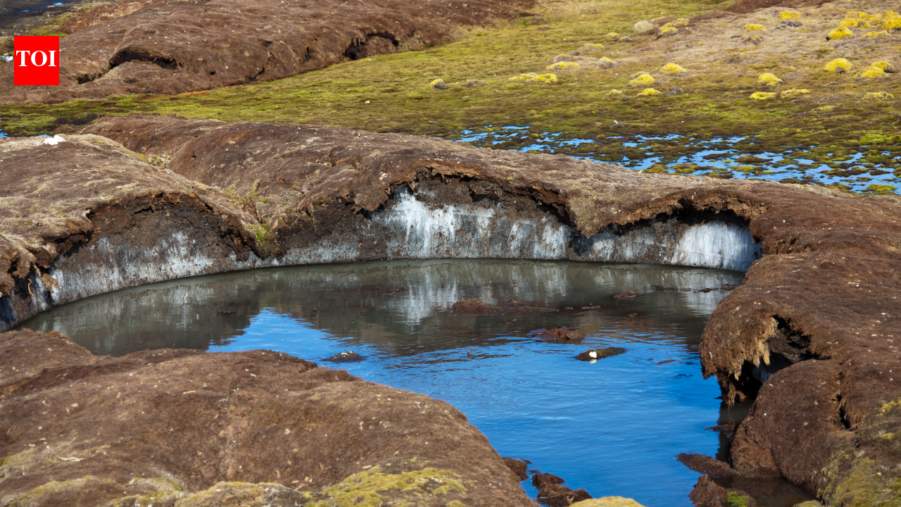 Tibetan Plateau Ice Increase: Between 1979 and 2018, ice inside the Tibetan Plateau has increased despite rising global warming, which should melt it: What is the surprising reason behind the unusual pattern?