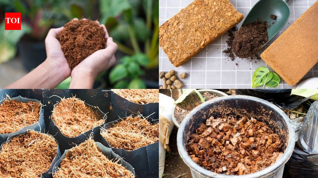 Cocopeat Uses: 5 practical uses of cocopeat every gardener should know