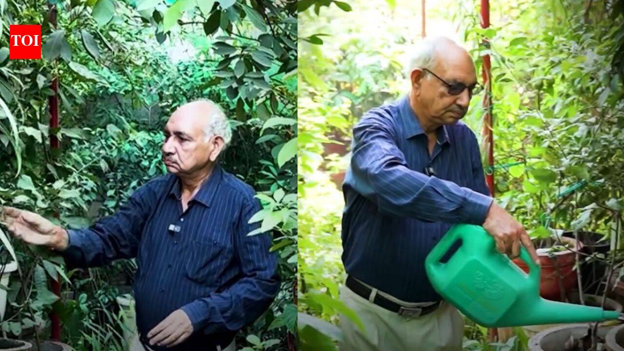 This Delhi man turned his home into a mini orchard with 1,000+ plants, grows 40 varieties of fruit and says he hasn’t bought lemons in years