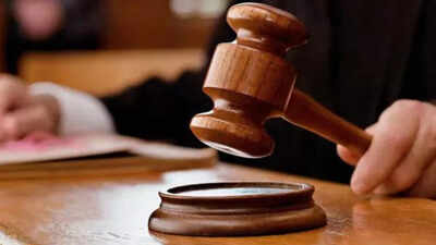 Even layman knows of SC bulldozer order, but IAS officer unaware: HC | Nagpur News