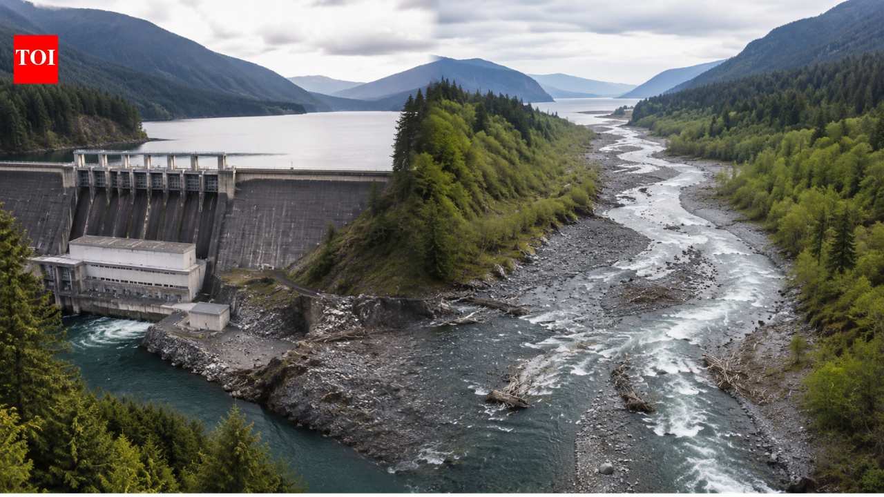 In 1992, Congress ordered the removal of 2 dams blocking the Elwha River—24 years later, the river finally ran free to the Sea | World News