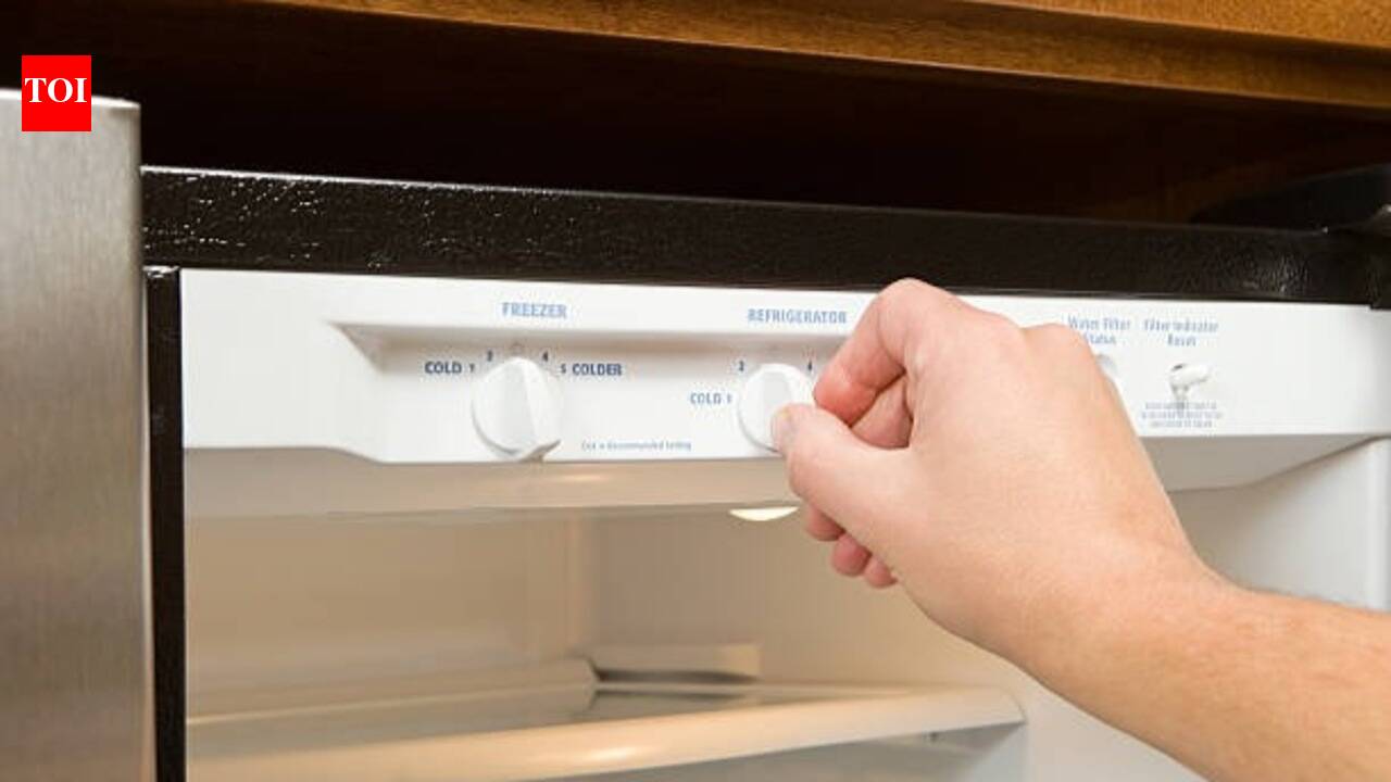 Best Refrigerator Temperature Settings: Best refrigerator temperature settings: A practical guide for Indian homes to keep food fresh and safe
