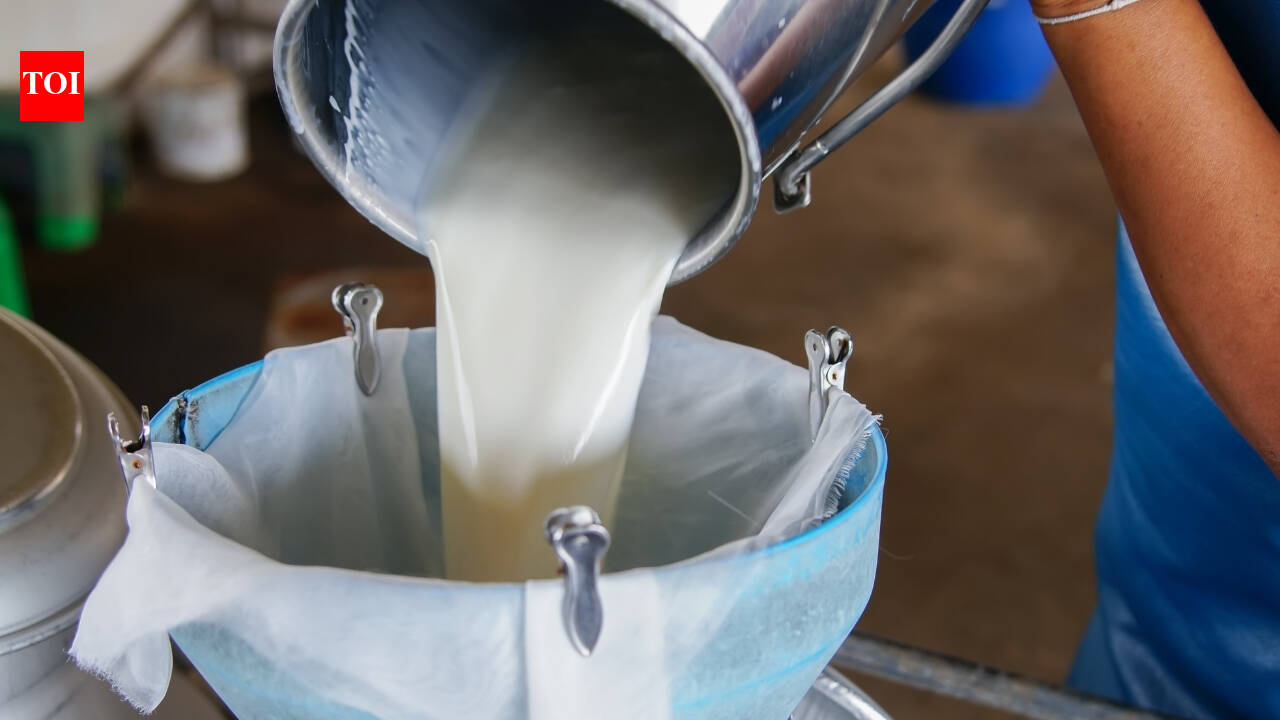 Can you guess India’s Milk Capital? Here’s why this Gujarat city earned the title