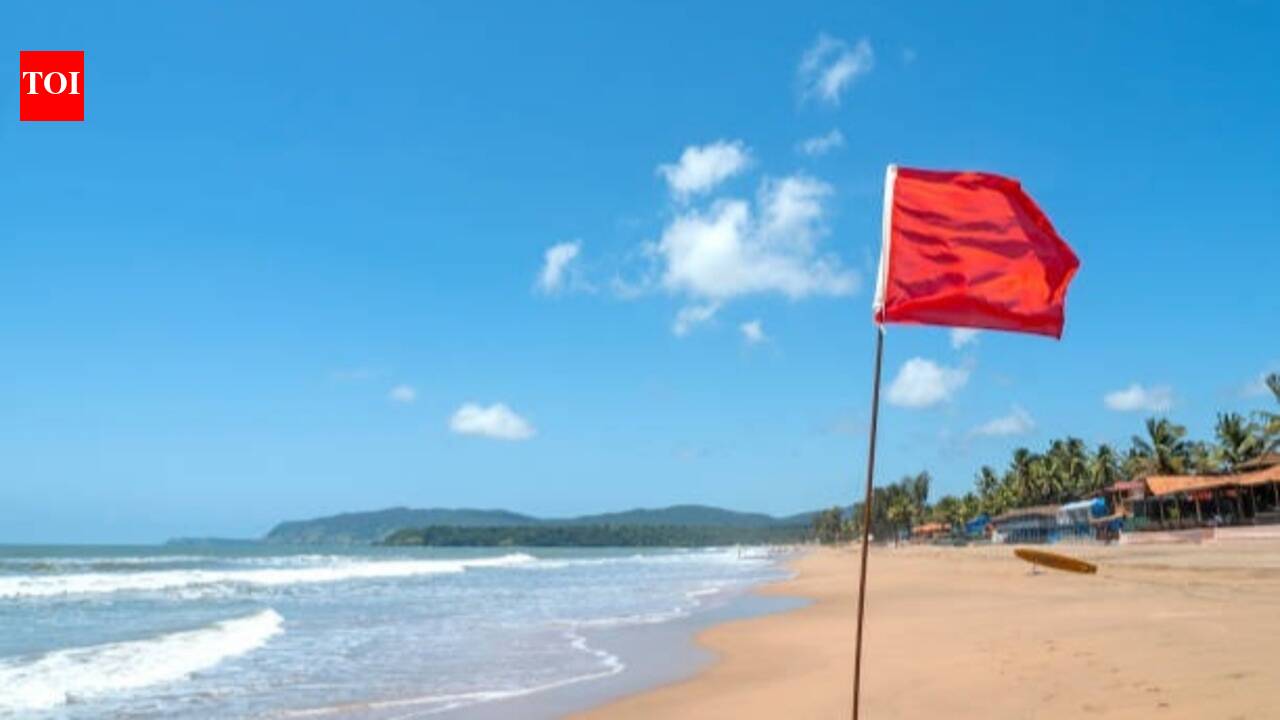 Illegal To Take Sand From Beaches: Why is it illegal to take sand from some beaches? The environmental and legal reasons you should know before collecting it