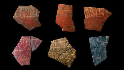 60,000 years ago, long before classrooms existed, humans may already have been thinking like this, study suggests