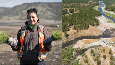 After America's largest dam removal, the Yurok Tribe is bringing an entire river back to life by planting millions of native seeds |