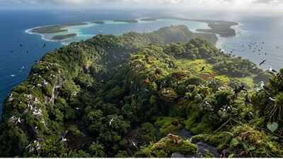 Atolls can take up to 30 million years to form, but these tiny coral islands now support 31 million seabirds across the Indo-Pacific |