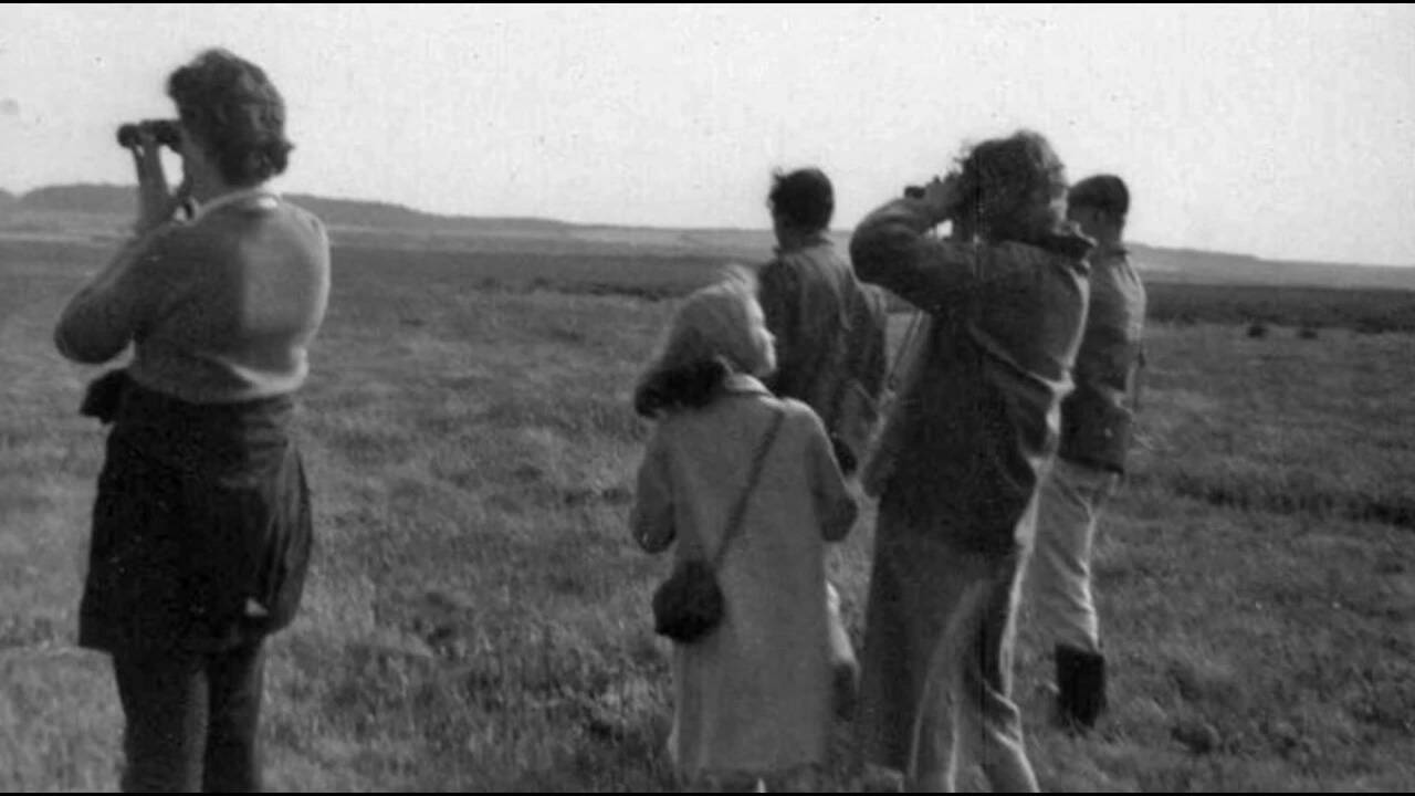 In 1924, British photographer Emma Turner moved into a hut on a 1,200-acre island; over two breeding seasons, its tern colonies topped 1,000 nests