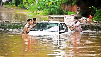 Chandigarh was built as a planned city. So why does it keep sinking in the rain? | Chandigarh News