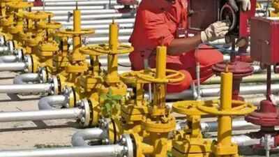 Centre asks states, union territories to expand piped gas network | India News