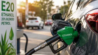Government planning to bring E10 back? Clamour grows after top bureaucrat's remark | India News