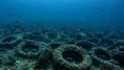 Florida dumped millions of tyres into the ocean to build a reef. More than 50 years later, it is still cleaning them up | World News