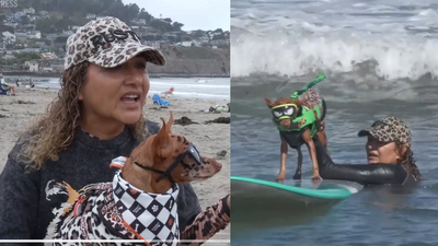 ​From cancer survivors to surfing stars: California woman and her dog beat cancer before competing together at the World Dog Surfing Championships | World News