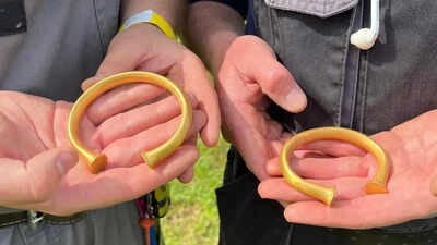 A British metal detectorist thought he'd found a bull's nose ring; it was actually a Bronze Age gold bracelet, and then two more appeared | World News