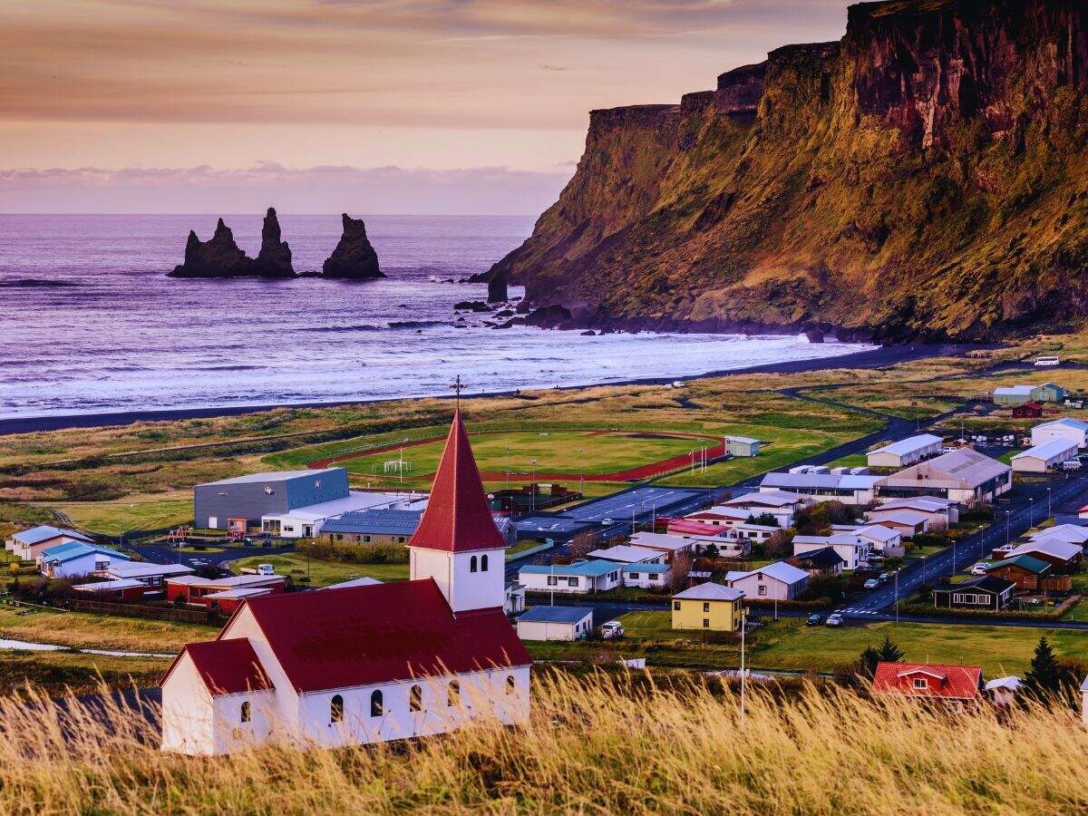 Iceland Mosquitoes: In October 2025, an insect enthusiast found three mosquitoes in his backyard; the discovery ended Iceland’s status as one of ‘Earth’s last mosquito-free destinations’