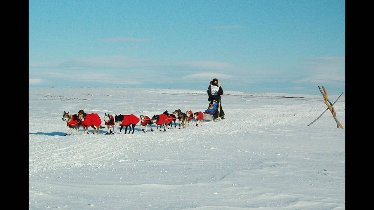 In 1973, a Wisconsin teenager moved to Alaska; 12 years later, she drove into a storm her rivals avoided and became the first woman to win the Iditarod