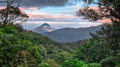 In 1972, Costa Rica began protecting a misty mountain forest: Decades later, Monteverde’s 10,500 hectares have become a remarkable conservation story |