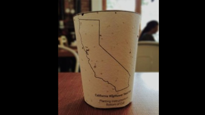 In 2015, this ordinary coffee cup hid seeds inside its paper; after the last sip, you could plant it instead of throwing it away |