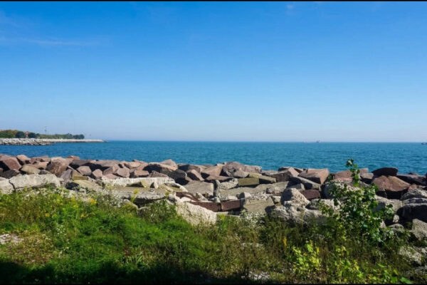 In 2009, Illinois poured 2,200 gallons of fish poison wrapped in red dye into a canal protecting Lake Michigan to block Asian carp from Lake Michigan; thousands of fish died, but crews found only one Asian carp |
