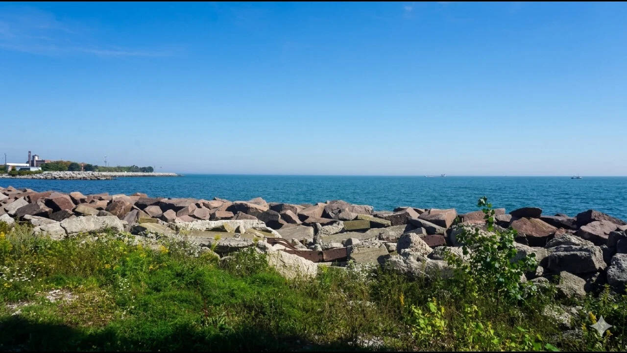 In 2009, Illinois poured 2,200 gallons of fish poison wrapped in red dye into a canal protecting Lake Michigan to block Asian carp from Lake Michigan; thousands of fish died, but crews found only one Asian carp |