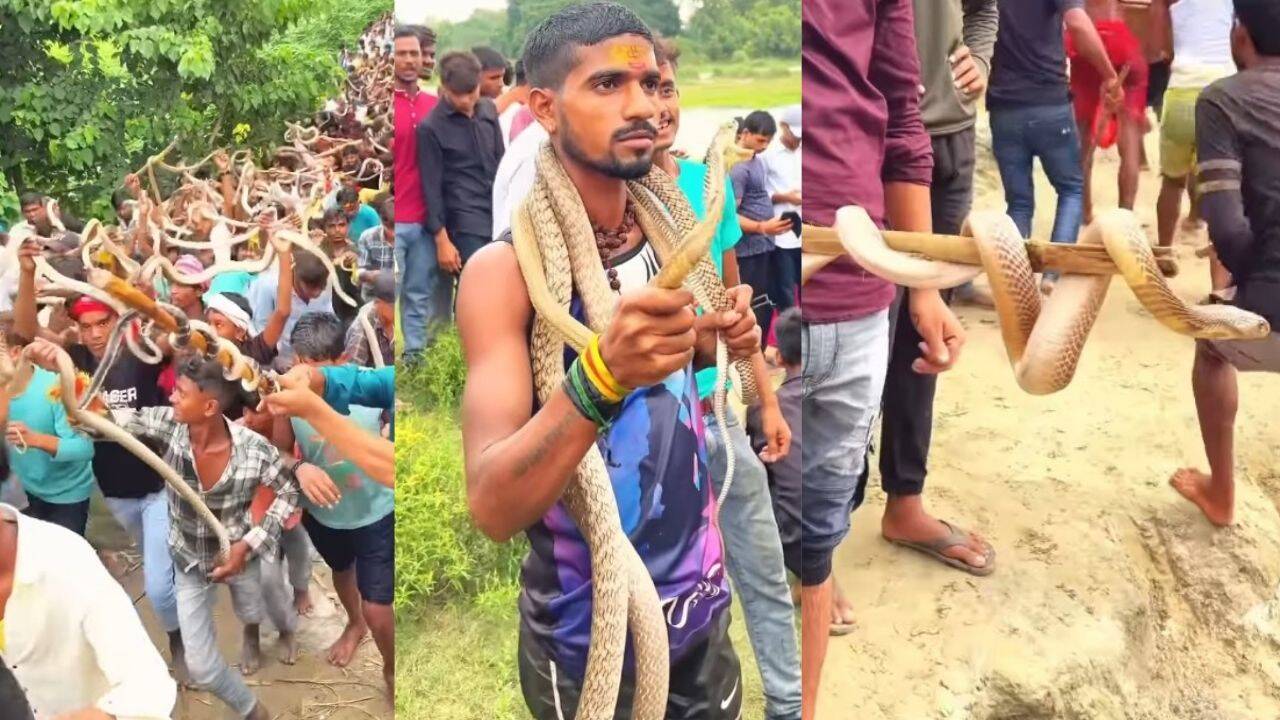 Bihar Snake Festival: Hundreds carry ‘LIVE’ snakes during Bihar's Nag Panchami mela; the fascinating history behind Samastipur's centuries-old serpent festival