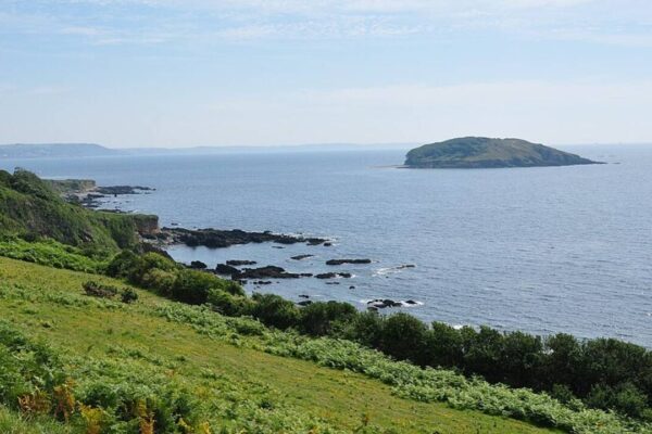 In 1965, two British sisters bought a Cornish Island for £22,000; they lived there for nearly 40 years and left it forever protected as a wildlife reserve | World News