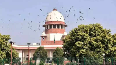 Supreme Court acquits man in jail for 22 years for wrong conviction | India News