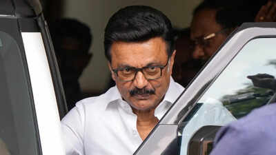 MK Stalin moves HC against TVK MLA VS Babu's Kolathur win, seeks recount | India News
